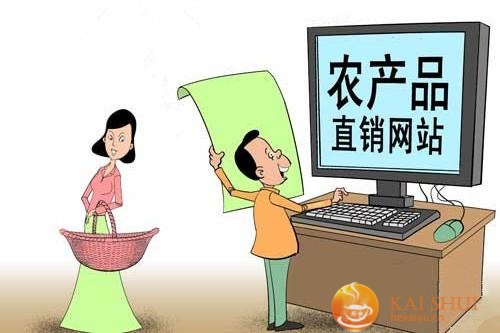 一号文件或给农村电商派红包 巨头加速布局-开水网络